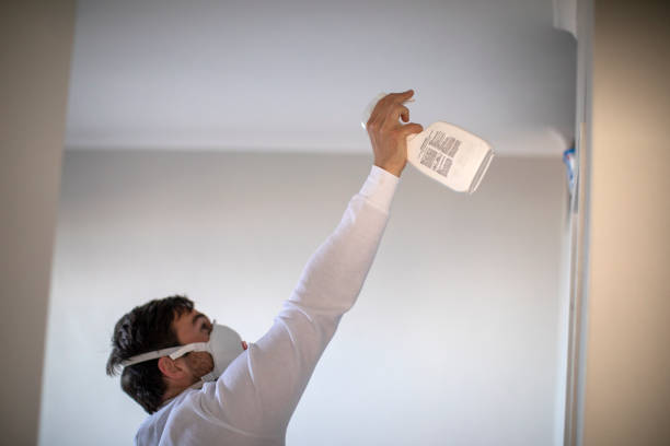 Best Office Mold Removal Services  in Mason Neck, VA